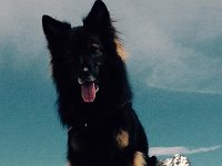 Shani